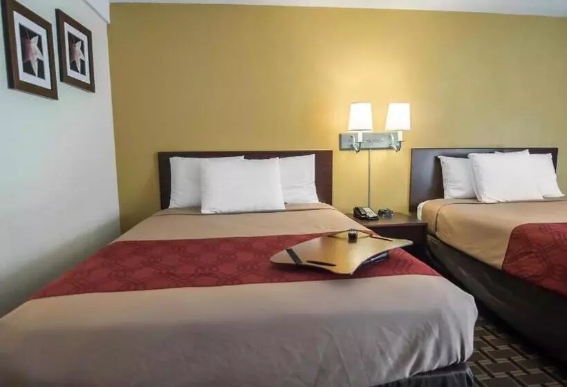 スタンダードルーム, Super 8 By Wyndham Albuquerque Downtown