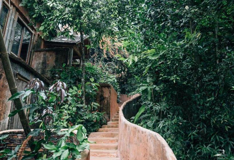 Casa 1 Quarto, Phu Chaisai Chiang Rai Mountain Resort