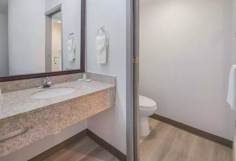 2ダブルベッドのスタンダードルーム, Quality Inn & Suites Richardsondallas