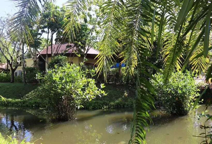 ویلای لوکس 1 خوابه, Seaview Resort Khao Lak Sha Plus