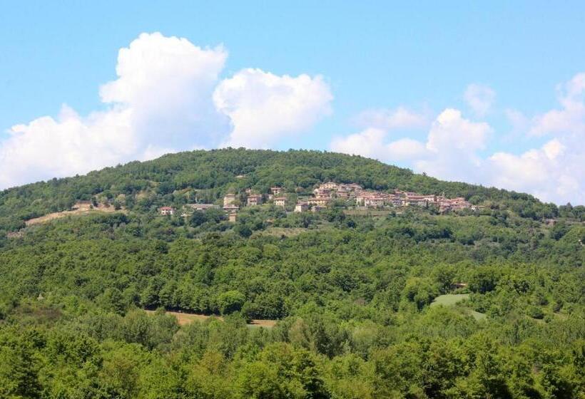 דירת פנטהאוז 1 חדרי שינה, Agriturismo La Via Dell Oliviera