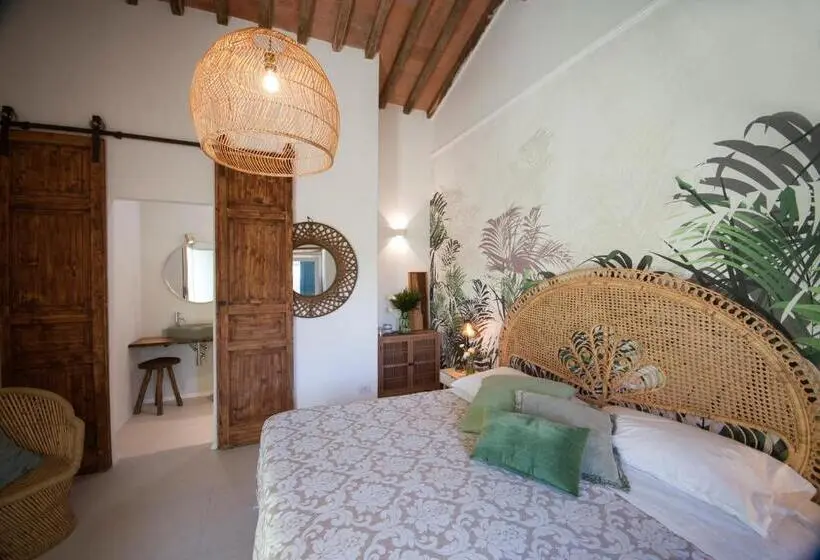 スタンダードルーム, Agriturismo La Via Dell Oliviera