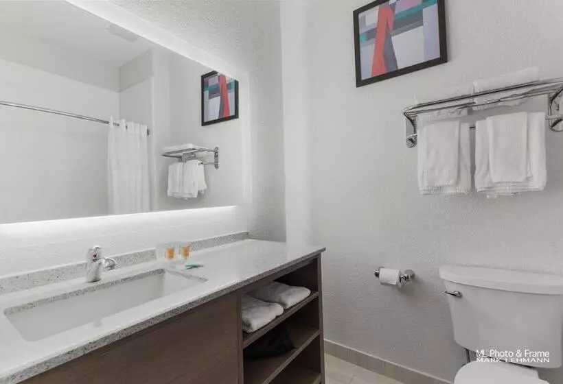 سوئیت با تخت بزرگ, Comfort Suites