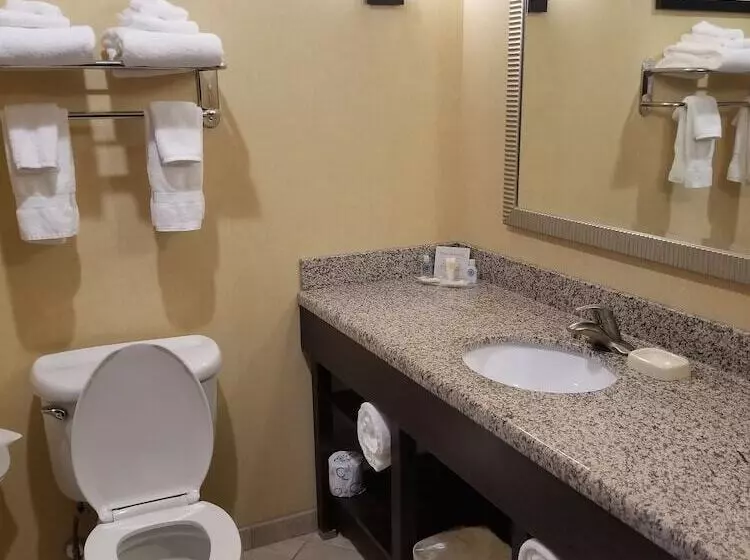 スイート, Comfort Suites Charleston West Ashley