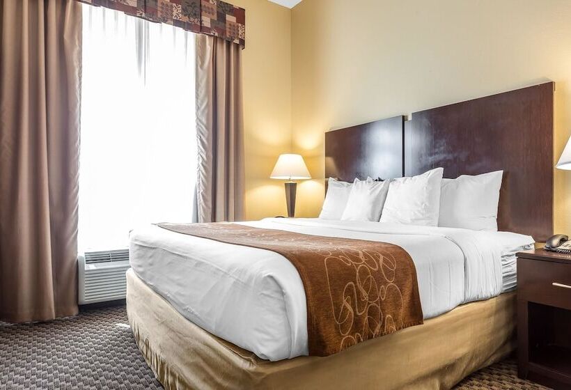 套房, Comfort Suites Charleston West Ashley