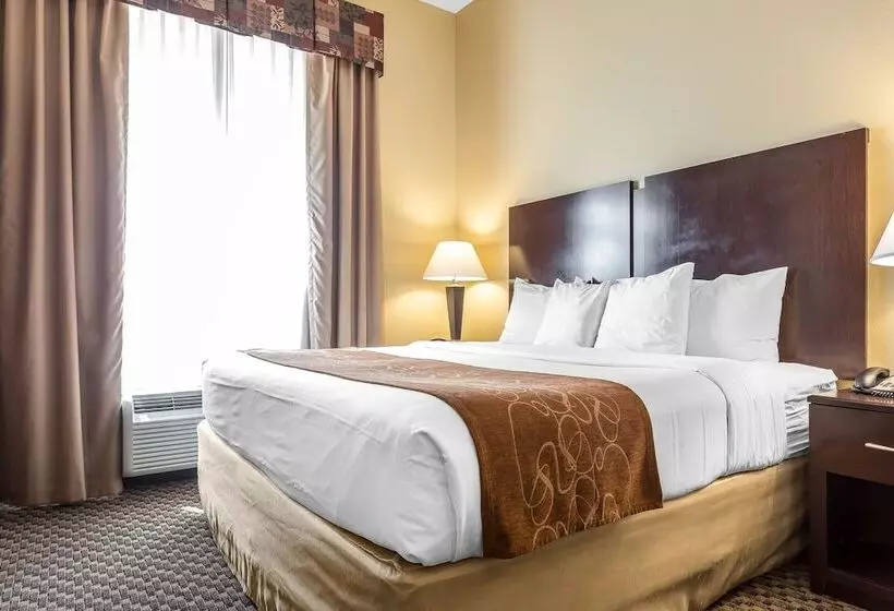 スイート, Comfort Suites Charleston West Ashley