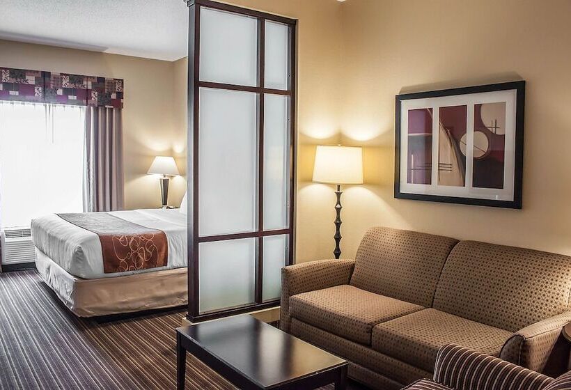 套房, Comfort Suites Charleston West Ashley