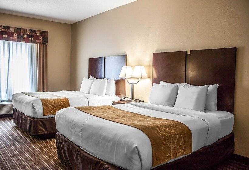 스위트, Comfort Suites Charleston West Ashley