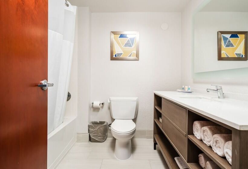 스위트, Comfort Suites Columbia Northeast  Fort Jackson