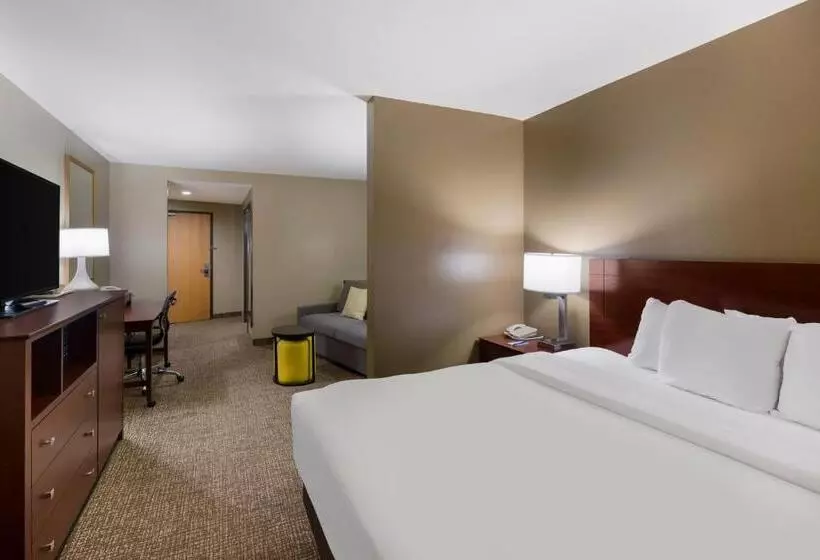 Sviitti King-vuode, Comfort Suites El Paso West
