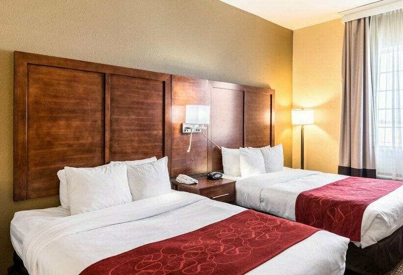 스위트, Comfort Suites South