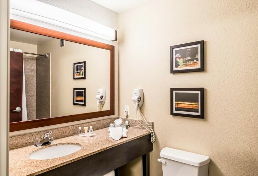 스위트, Comfort Suites South