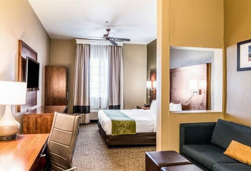 套房, Comfort Suites South