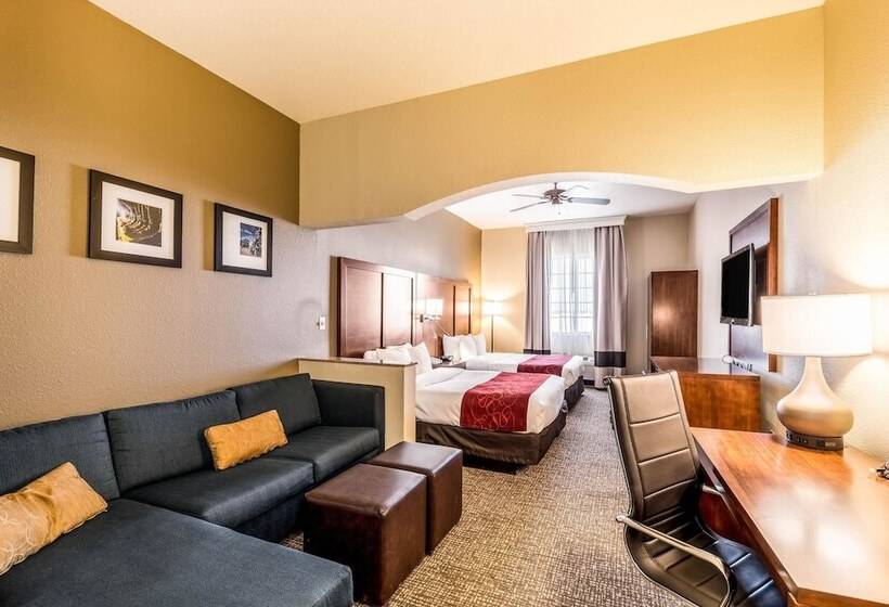 스위트, Comfort Suites South