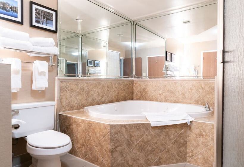 스위트, Comfort Suites