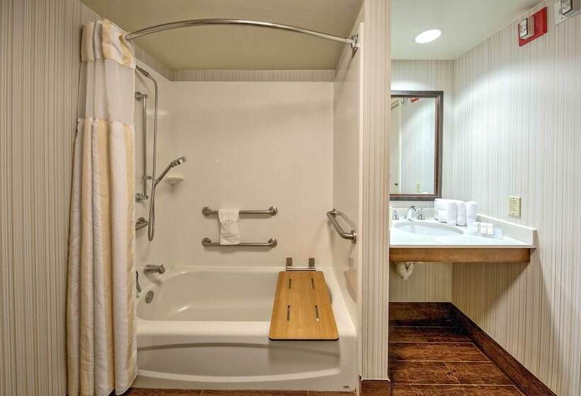 Standard Room Adapted for people with reduced mobility, Hilton Garden Inn New Orleans Convention Center