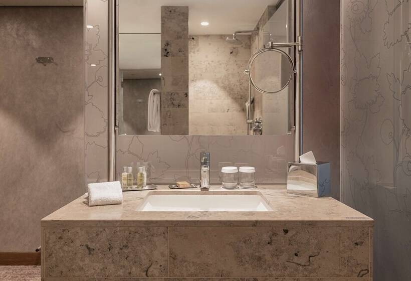 이그제큐티브 룸, Hilton The Hague