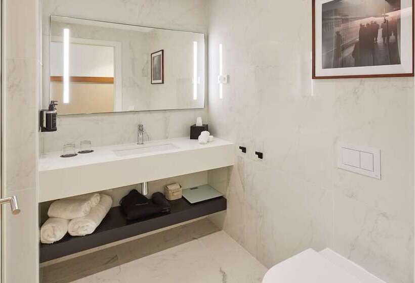 스탠다드 룸 킹사이즈 침대, Hilton The Hague