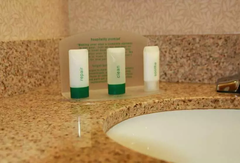 Standard-huone, Holiday Inn Daytona Beach Lpga Boulevard, An Ihg