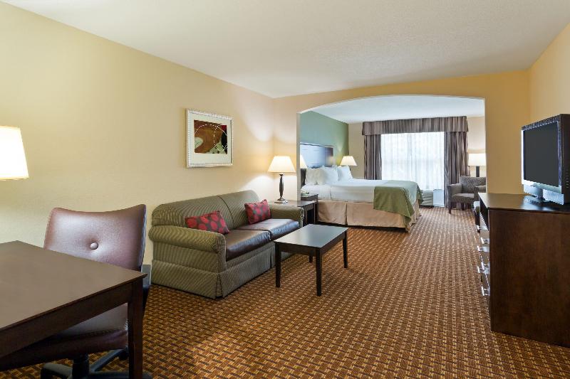 스탠다드 룸 킹사이즈 침대, Holiday Inn Daytona Beach Lpga Boulevard, An Ihg