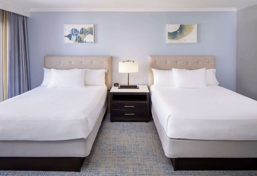 جناح ديلوكس غرفتين نوم, Hyatt Regency Clearwater Beach Resort & Spa