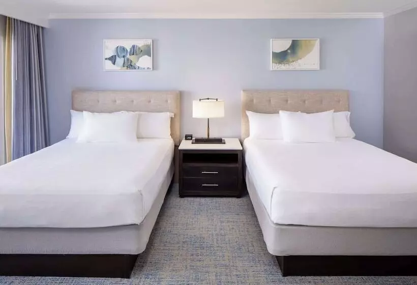 سوئیت دلوکس 2 خوابه, Hyatt Regency Clearwater Beach Resort & Spa