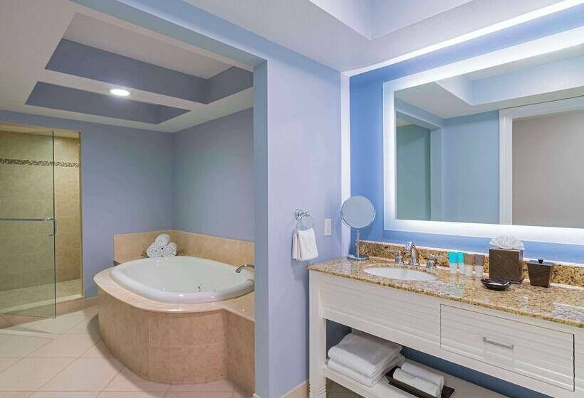 جناح ديلوكس غرفتين نوم, Hyatt Regency Clearwater Beach Resort & Spa