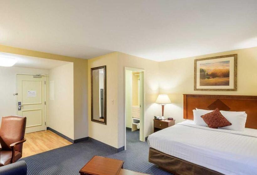 스위트 킹사이즈 침대, Mainstay Suites Dover