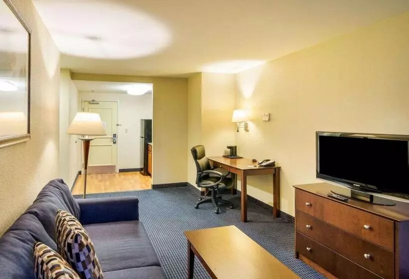ハイドロマッサージバス付きスイート, Mainstay Suites Dover