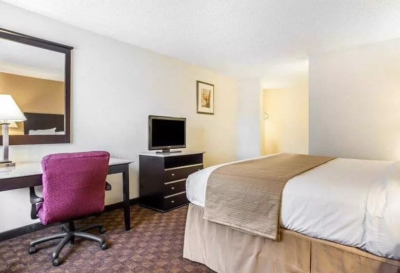 اتاق استاندارد با 2 تخت دوبل, Quality Inn & Suites Coliseum