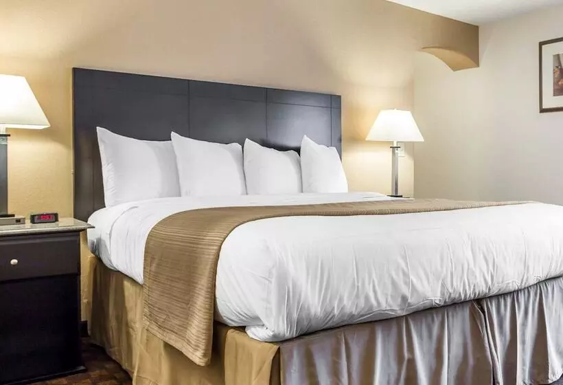 سوئیت برای معلولان, Quality Inn & Suites Coliseum
