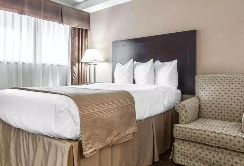 اتاق استاندارد, Quality Inn & Suites Coliseum