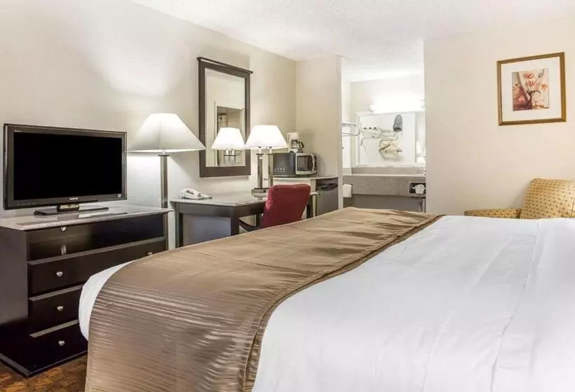 اتاق استاندارد با تخت بزرگ, Quality Inn & Suites Coliseum