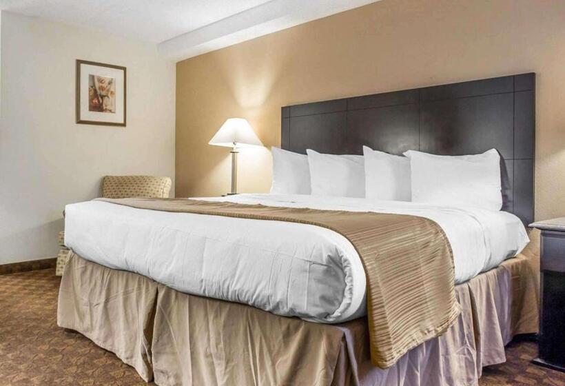 Standardzimmer Kingsize Bett, Quality Inn & Suites Coliseum