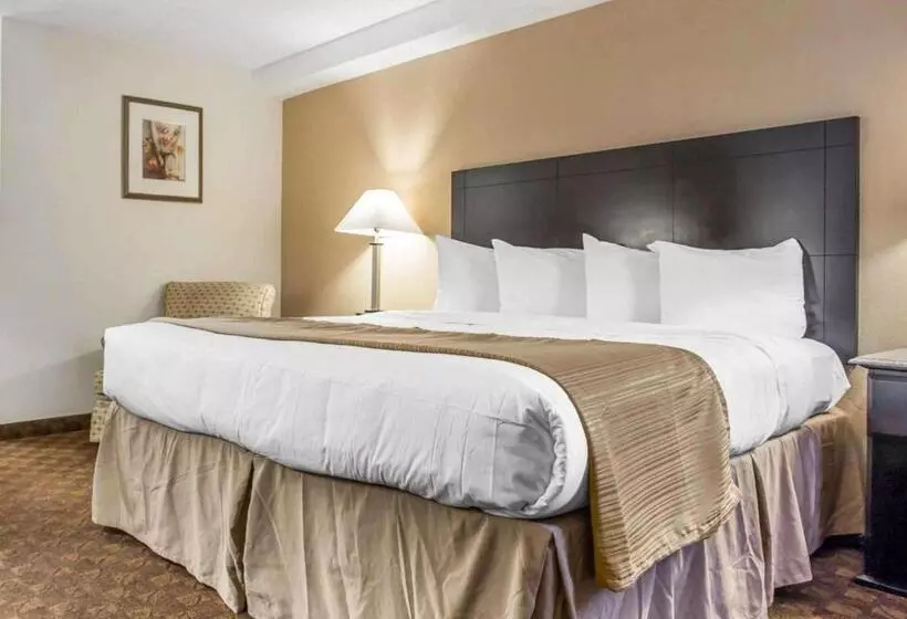 اتاق استاندارد با تخت بزرگ, Quality Inn & Suites Coliseum