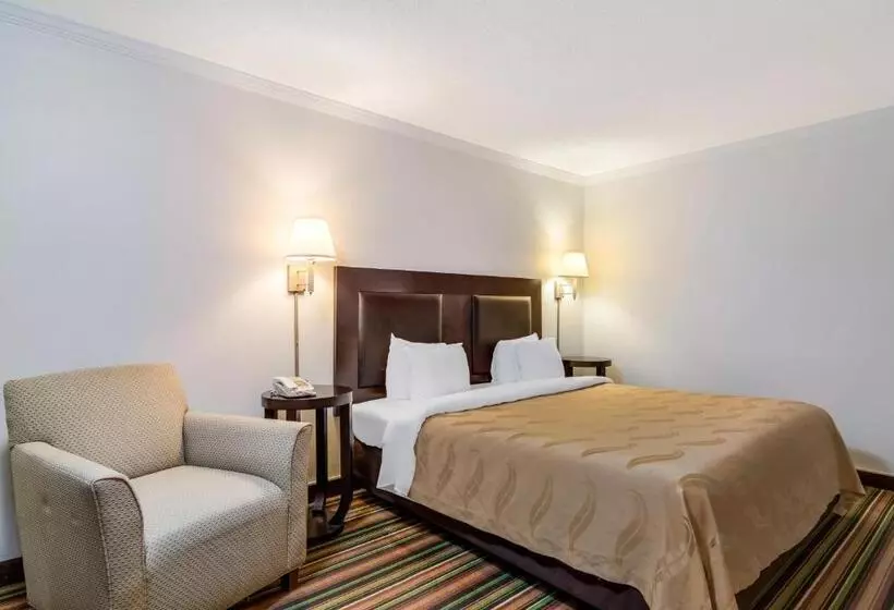 身障者適用キングサイズベッドルーム, Quality Inn Marietta Near Dobbins Arb