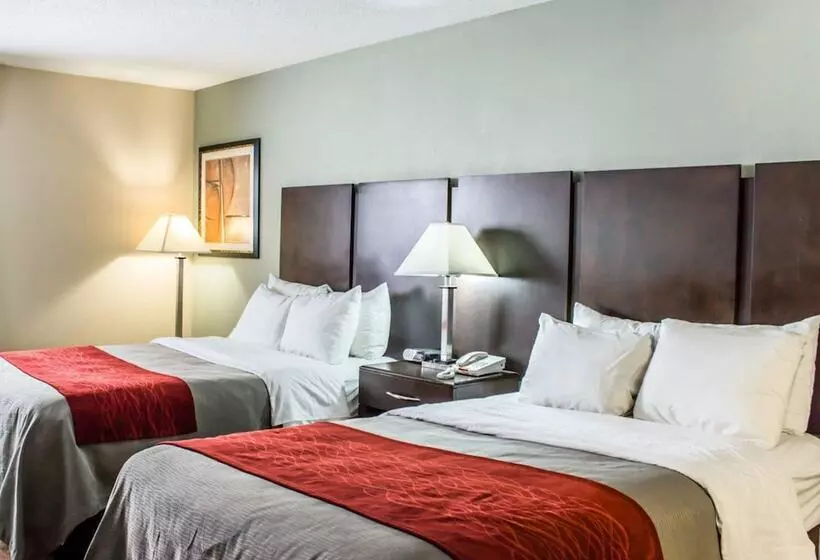 Standard-huone 2 Parivuodetta, Quality Inn Raleigh Downtown