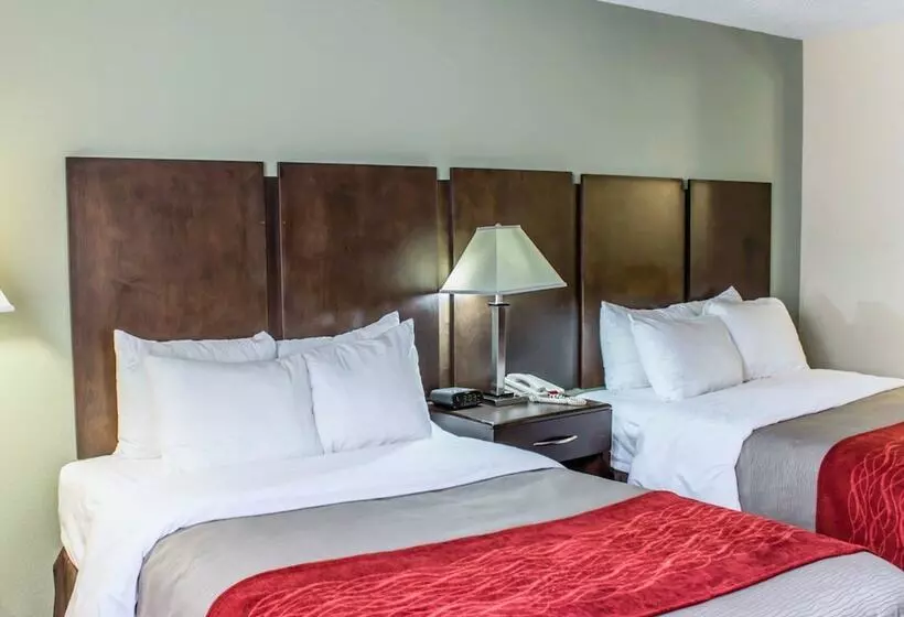 Standard-huone 2 Parivuodetta, Quality Inn Raleigh Downtown