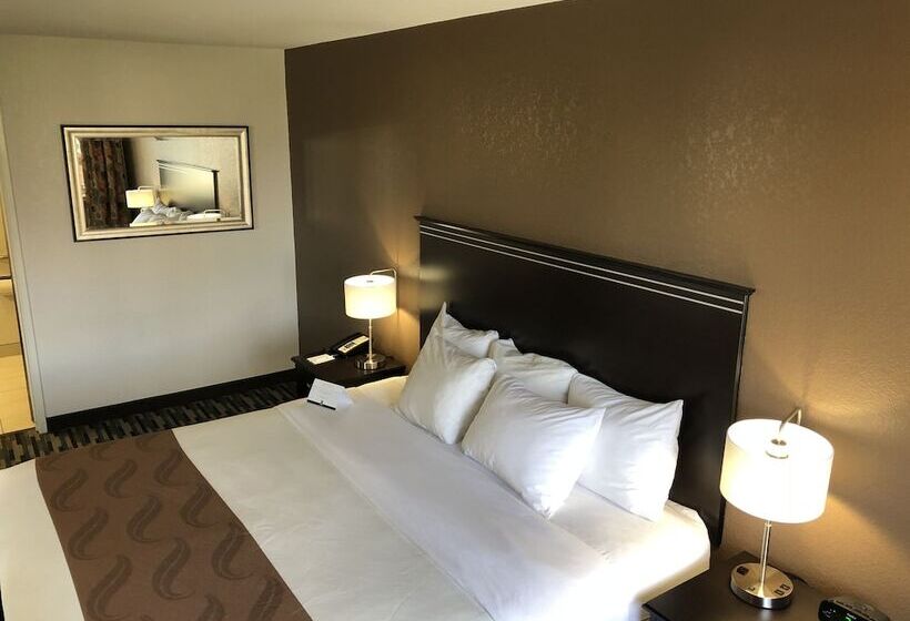 スイート, Quality Inn & Suites Denver International Airport