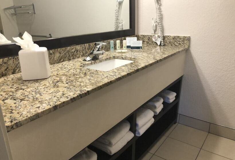 スイート, Quality Inn & Suites Denver International Airport