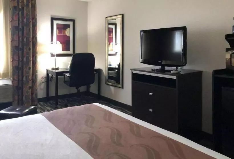 اتاق استاندارد با تخت بزرگ, Quality Inn & Suites Denver International Airport