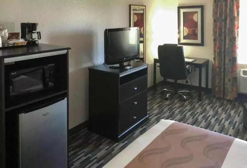 اتاق استاندارد با تخت بزرگ, Quality Inn & Suites Denver International Airport