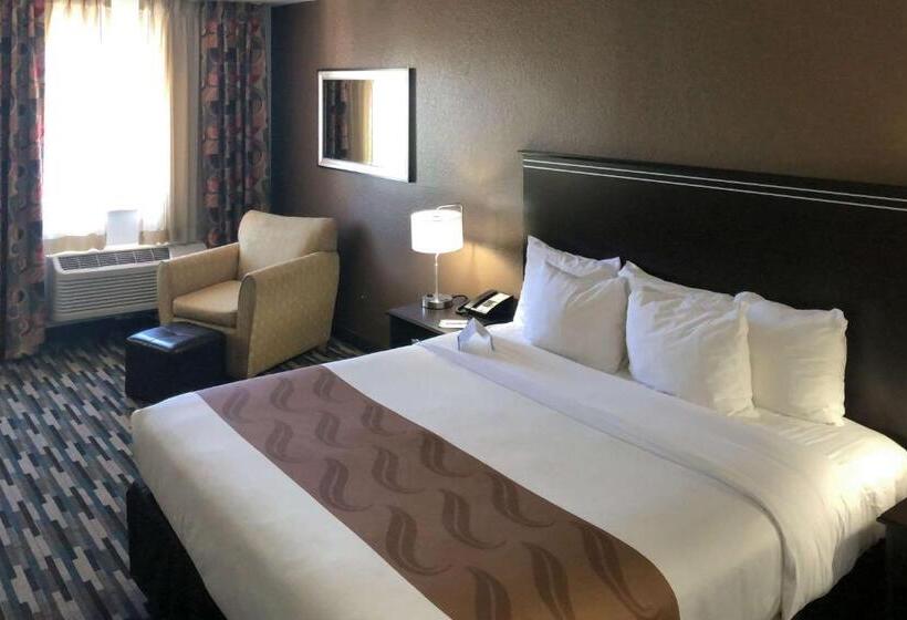 キングサイズベッドのスタンダードルーム, Quality Inn & Suites Denver International Airport