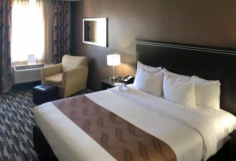 اتاق استاندارد با تخت بزرگ, Quality Inn & Suites Denver International Airport