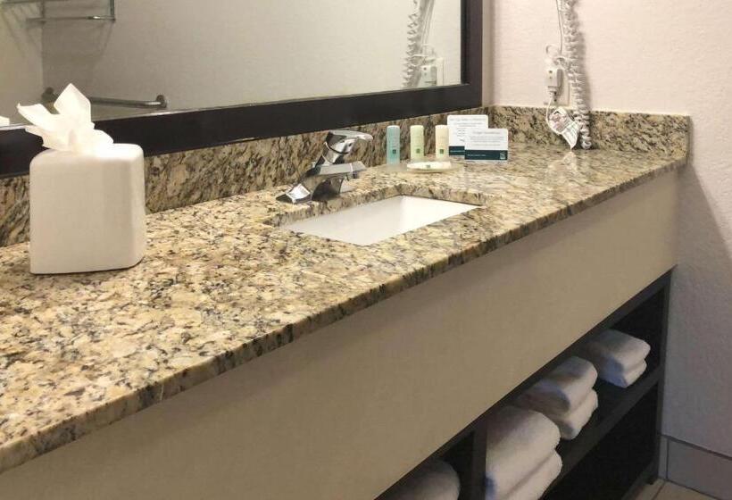 キングサイズベッドのスタンダードルーム, Quality Inn & Suites Denver International Airport