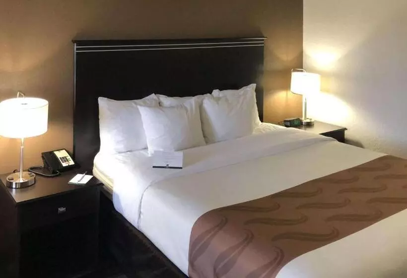 اتاق استاندارد با تخت بزرگ, Quality Inn & Suites Denver International Airport