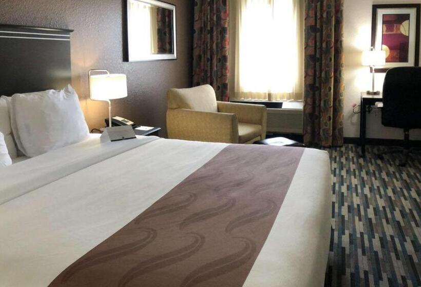 חדר סטנדרט עם מיטת קינג, Quality Inn & Suites Denver International Airport