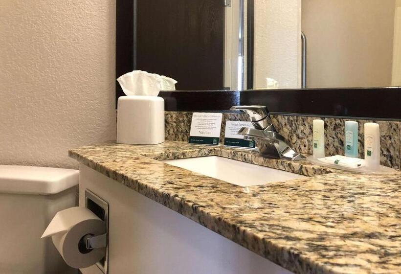 キングサイズベッドのスタンダードルーム, Quality Inn & Suites Denver International Airport