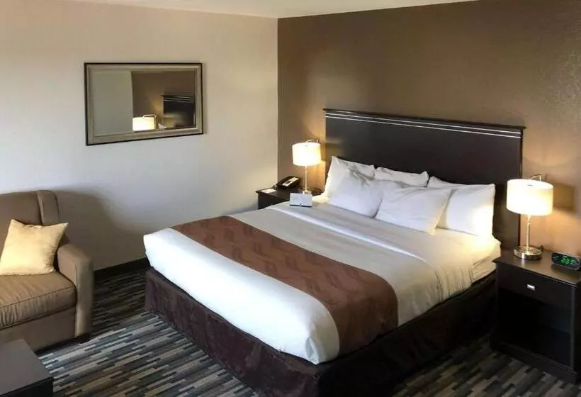 سوئیت با تخت بزرگ, Quality Inn & Suites Denver International Airport
