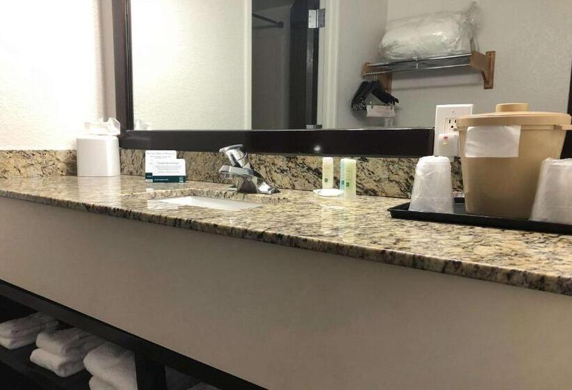 キングサイズベッドのスイートルーム, Quality Inn & Suites Denver International Airport